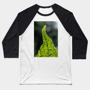 Fern Baseball T-Shirt